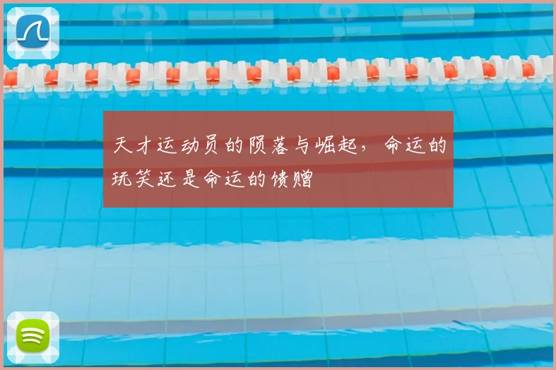 天才运动员的陨落与崛起,命运的玩笑还是命运的馈赠