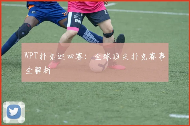 WPT扑克巡回赛:全球顶尖扑克赛事全解析
