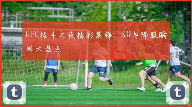 UFC格斗之夜精彩集锦:KO与降服瞬间大盘点