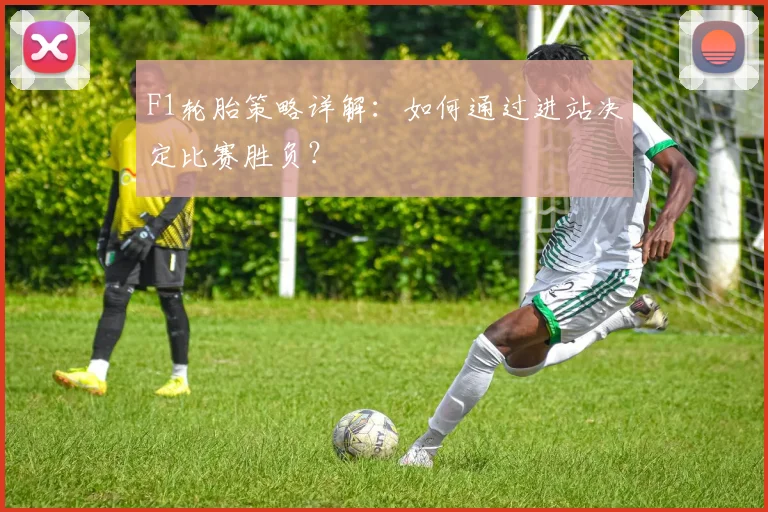 F1轮胎策略详解:如何通过进站决定比赛胜负?