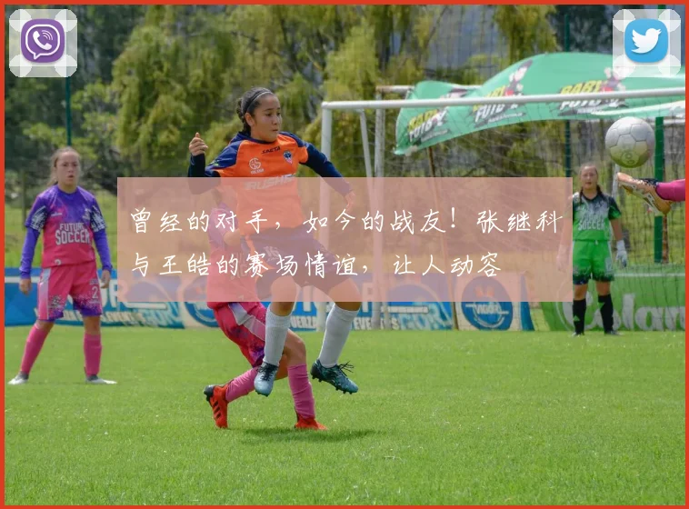 曾经的对手,如今的战友!张继科与王皓的赛场情谊,让人动容