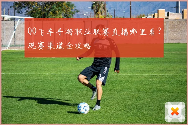 QQ飞车手游职业联赛直播哪里看?观赛渠道全攻略