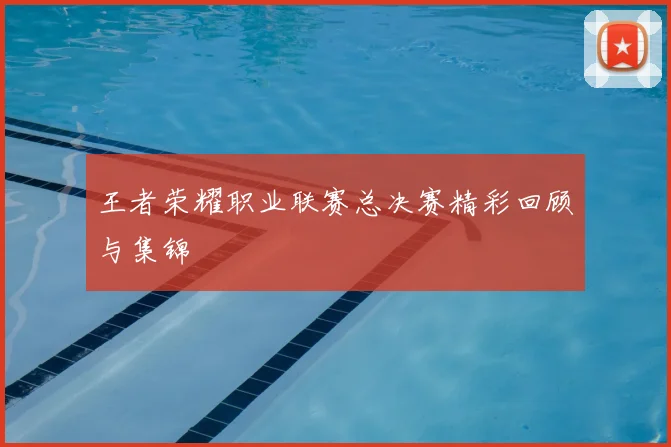 王者荣耀职业联赛总决赛精彩回顾与集锦