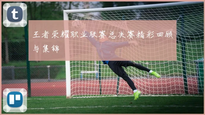 王者荣耀职业联赛总决赛精彩回顾与集锦